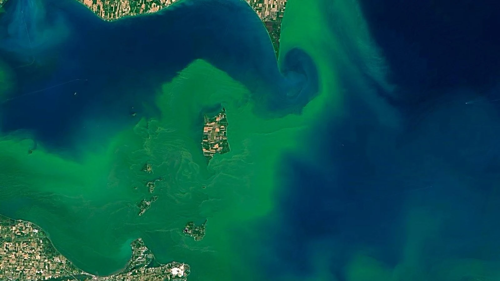 Satellite view of a cyanobacterial bloom spreading in green swirls across a lake beside inhabited shoreline